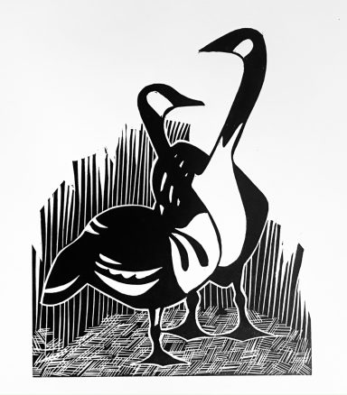 Black and white print of two Canada geese nesting on the canal bank. An art deco style piece.